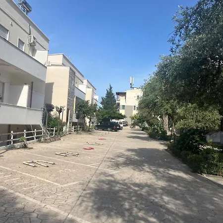 Dohert In Elite 2 * Dhermi