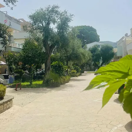 Dohert In Elite 2 Apartment Dhermi